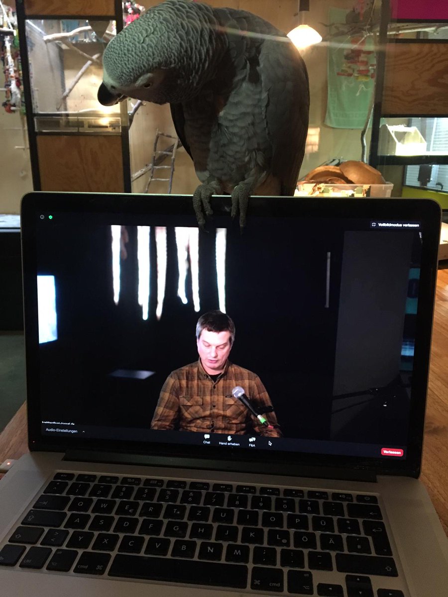 Okto_Lab's tweet image. We are getting ready for the second day of octopus reflections at Other Worlds. Slightly knackered but really excited! Thanks to everyone for making the first day such smooth sailing... #OctopusWorlds