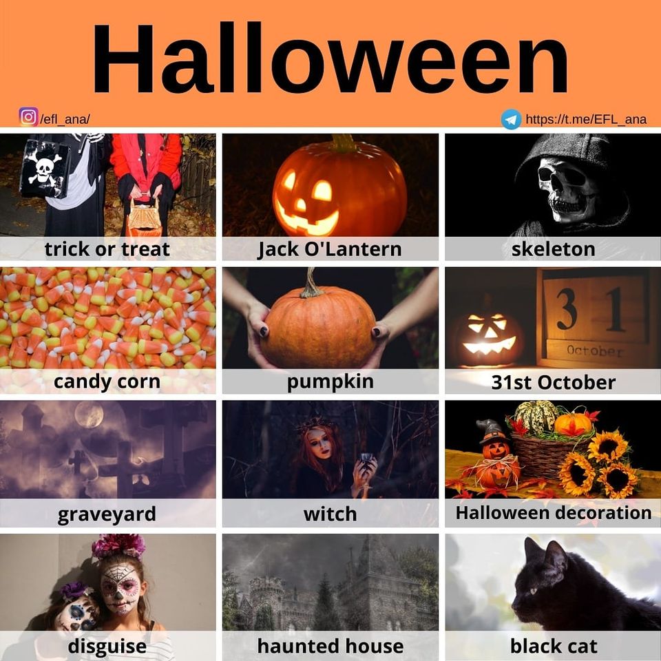GeorgesEnglish's tweet photo. #halloween #vocabulary from https://t.co/POTjUnwBLu
#efl #esl #tefl #elt #elf #eflpractice #learnenglish https://t.co/kpWDCwAStw