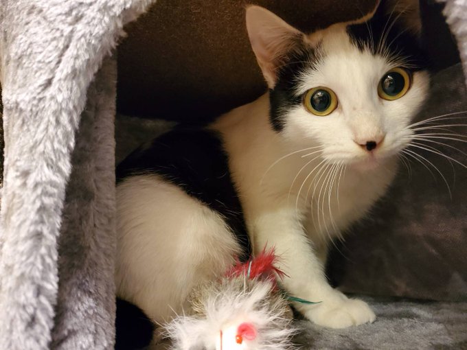 A List Of Tweets Between デルピエロ山口 発毛芸人 And Year 11 Month 1 تحليلات تويتر الرسومية الخاصة بهوتويت Whotwi