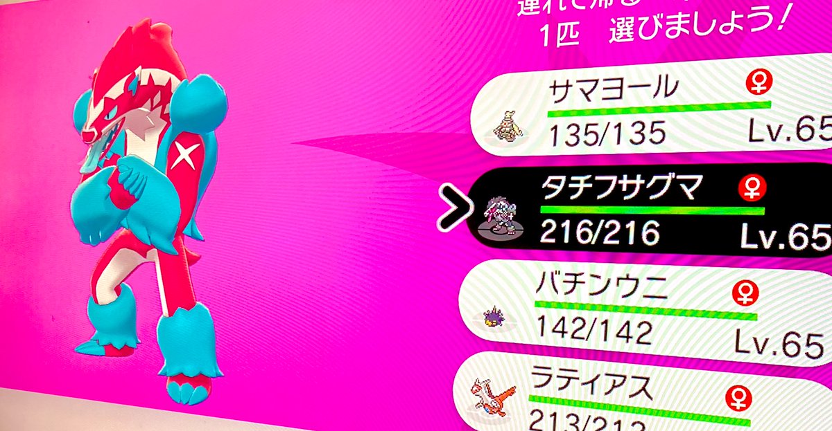 2体目の色違いはタチフサグマでした✨
気になってた色違いなので嬉しい^^