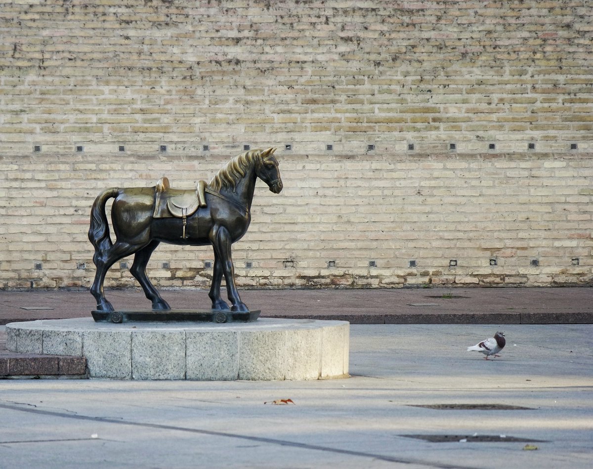 Y la paloma, marcando el paso...
.
#buongiorno #instagram #picoftheday #pic #plazadelpilar #foto #sculpture #pics #buenosdias #zaragoza #colombe #traveler #bluesky #caballitodelalonja #bonjour #caballo #fotografia #photography #photo #horse #turista #zgz #travel #igerszgz #dove https://t.co/ryOlafoawR