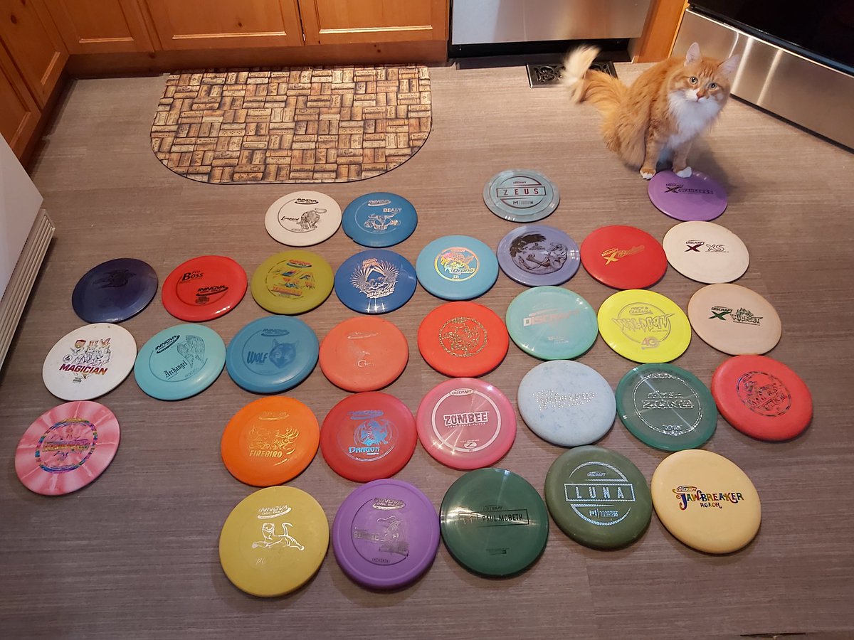 Figuring out whats making the bag today... Chuck Norris thinks the AvengerSS X plastic is a good choice. @DiscraftDG @InnovaDiscs #womenwhodiscgolf #discgolf