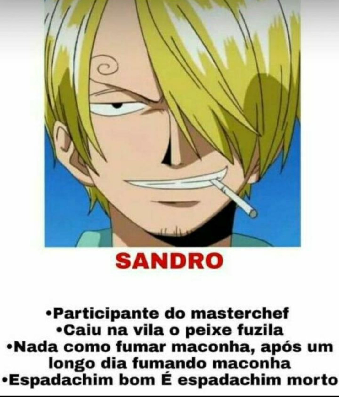 ZORO SENDO O PAI DO CHOPPER KKKKKK - One Piece Dublado 