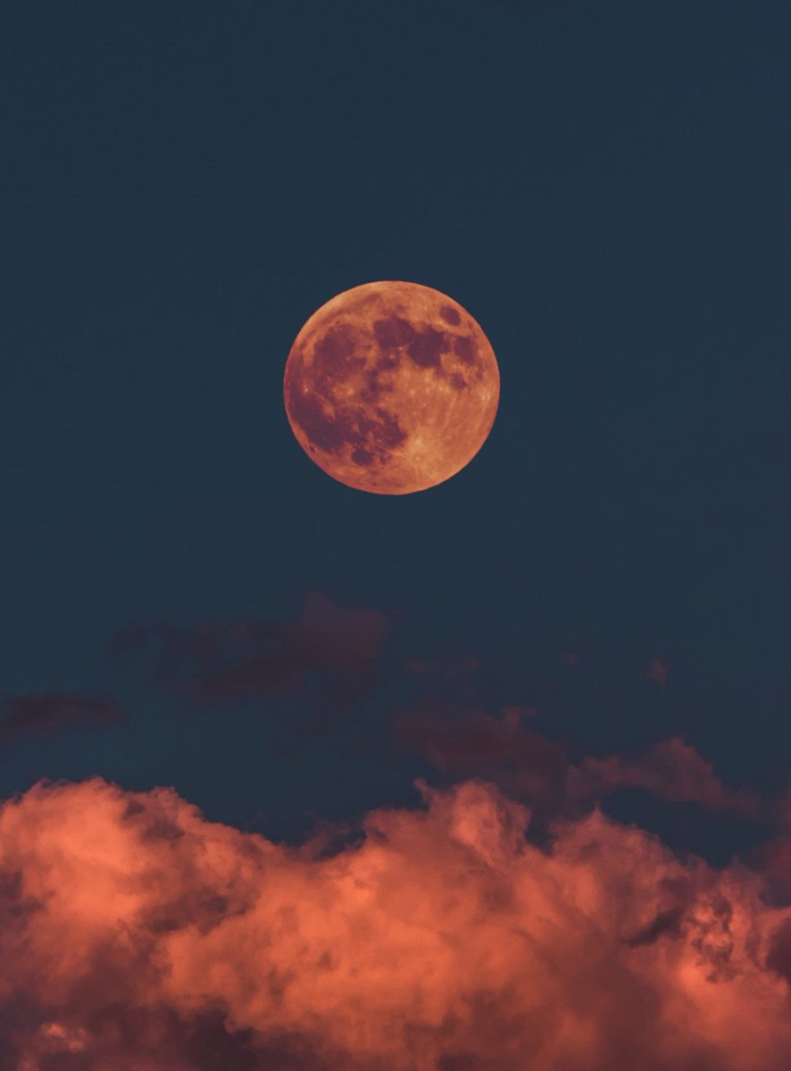 MilwaukeeArt's tweet photo. Happy Halloween! The Museum’s Burke Brise Soleil (“wings”) will be rising with the full blue moon tonight (winds permitting), and will remain open from 6:00 to 7:30 p.m. Capture the moment, and share your photos with us! Tag @MilwaukeeArt or use #MAMinspires. https://t.co/NUCc6xR8Hp