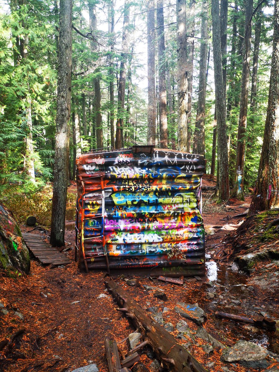 BudgetBreakBlog's tweet image. #HappyHalloween2020! We are exploring the spooky train wreck trail in #Whistler, BC. Seven box cars have laid in the forest since a crash in 1956. It used to be illegal and dangerous to visit here, but now there is a well maintained 1 km trail to the site. #travelblogger