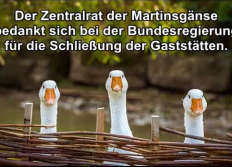 mariamhofholz's tweet image. Ich schau mir jetzt die #PK der Regierung an, und trink ein  Bier, auf den sunset muss ich eh auch nicht mehr warten. #normalzeit #covid19at