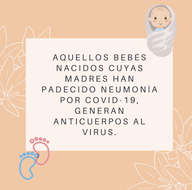 mamascovid's tweet photo. https://t.co/SDw3sZrsPm