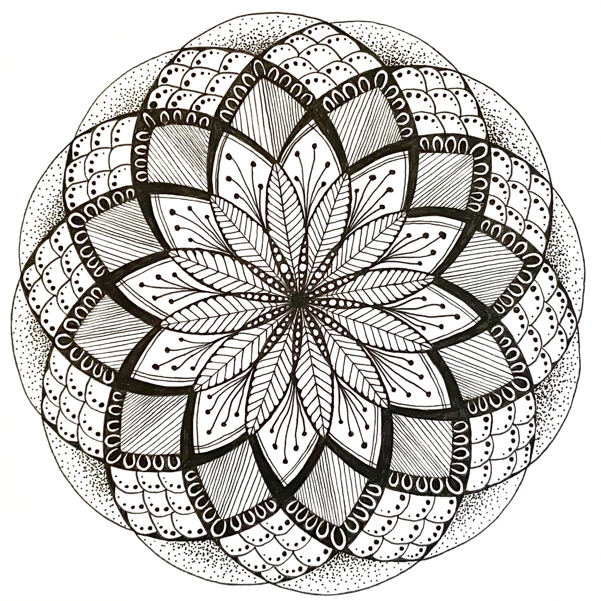 MissHBannister's tweet photo. Double Seed of Life Doodle Mandala  
#geometricart #itga https://t.co/wcfdPBtJhe