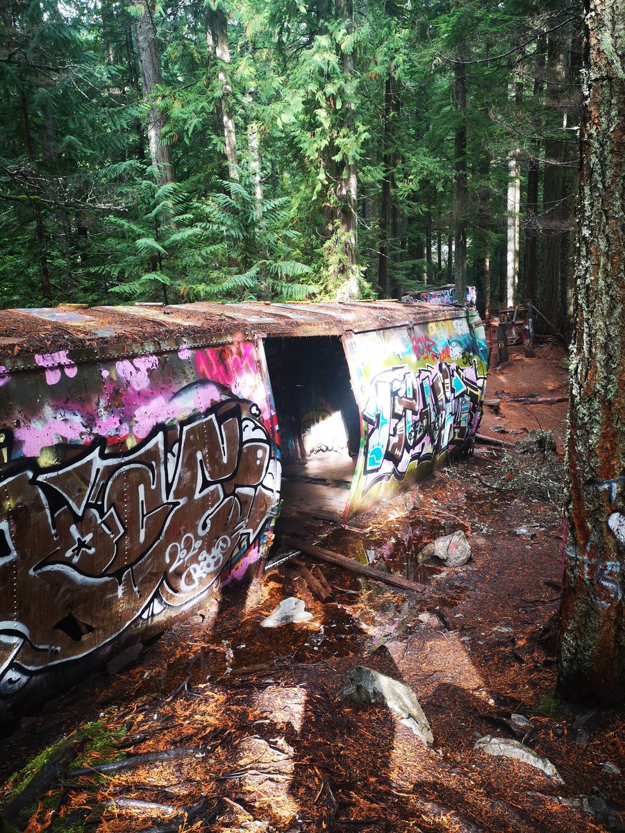 #HappyHalloween2020! We are exploring the spooky train wreck trail in #Whistler, BC. Seven box cars have laid in the forest since a crash in 1956. It used to be illegal and dangerous to visit here, but now there is a well maintained 1 km trail to the site. #travelblogger
