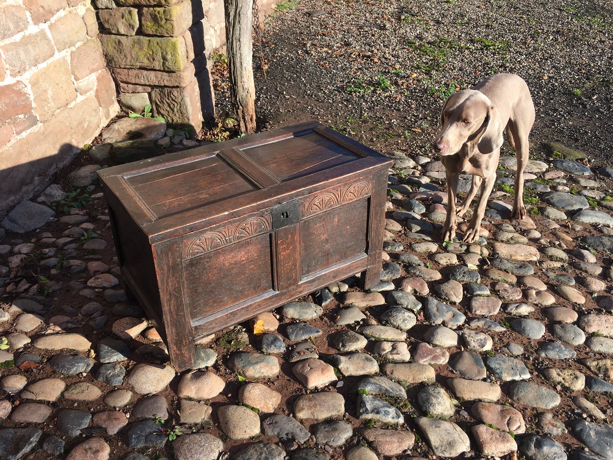 MarcusMooreAntq's tweet photo. A lovely early Oak panelled Coffer being protected by a very neurotic Weimaraner dog - but we love him #antiques #RescueDogs Happy Halloween 🎃 https://t.co/D2xabSZ0r4