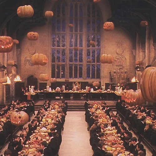 lovinganakin's tweet photo. everything that happened today in the Wizarding World of Harry Potter https://t.co/AT2w7Rx5hf