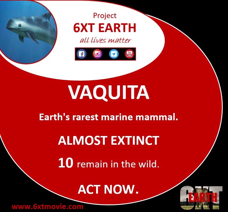 6xtmovie's tweet photo. Project 6XT EARTH - launching Nov 2020. The realities of and solutions to Earth’s wildlife crisis. We are the last generation that can save Earth’s wildlife. 
#wildlife #climatecrisis #climatechange #endangered #endangeredspecies #hollywood #sixthextinction #bbc https://t.co/1tjChPoZbP