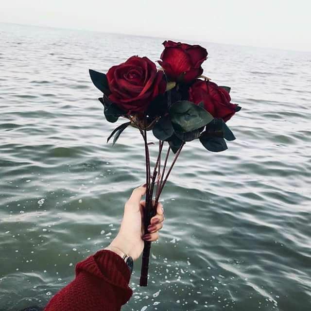 CrossingPretty's tweet photo. https://t.co/m0CYeU6BVy