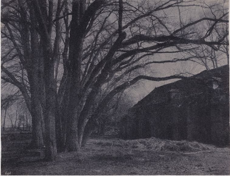 ludka142's tweet photo. 31 października 1900 w Thomery
~zm. Eugène-Adalbert #Cuvelier, francuski fotograf związany z kręgiem malarzy z Barbizon.
Gospodarstwo Parc de Courances, lata 60. XIX wieku. https://t.co/m1MTm79sTH
