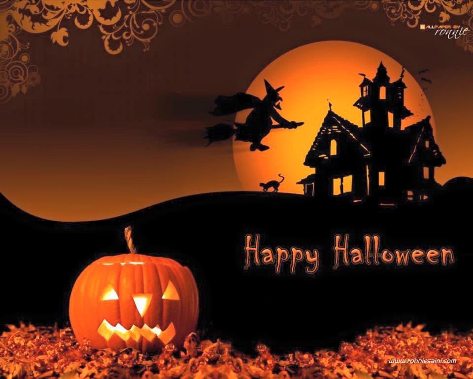 City of Loris (@of_loris) on Twitter photo 