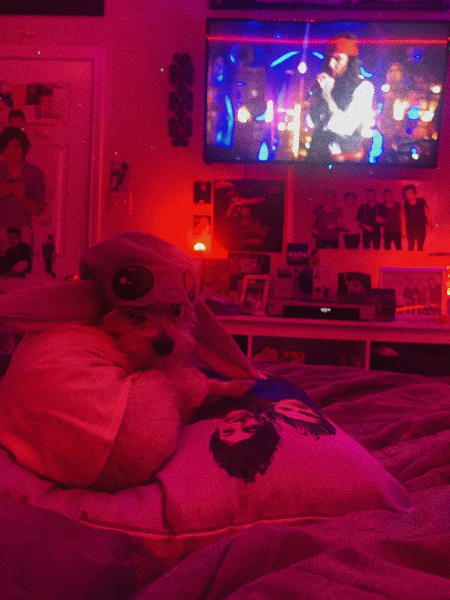 tpwkseoul's tweet image. hi @LiamPayne my puppy is dressed as baby yoda and is watching the LP Show(: #LPHalloween #LPSHOW