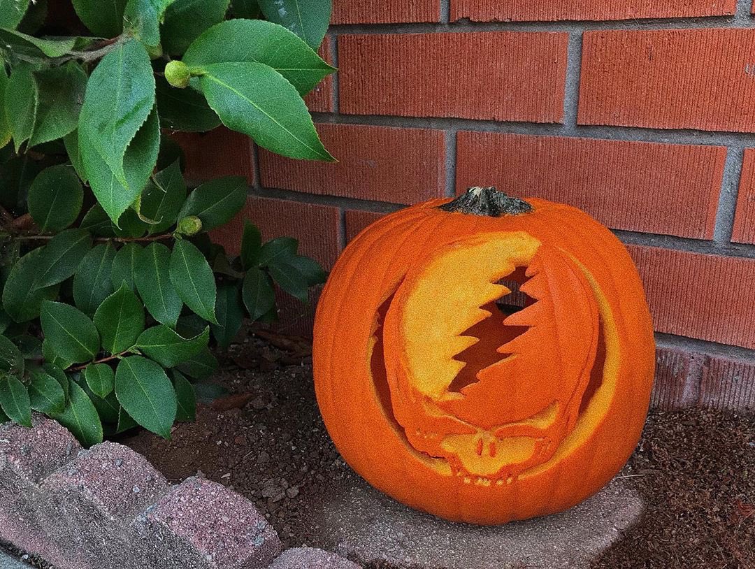 Happy Halloween from the Dead family. 🎃🍁⚡️💀🌹