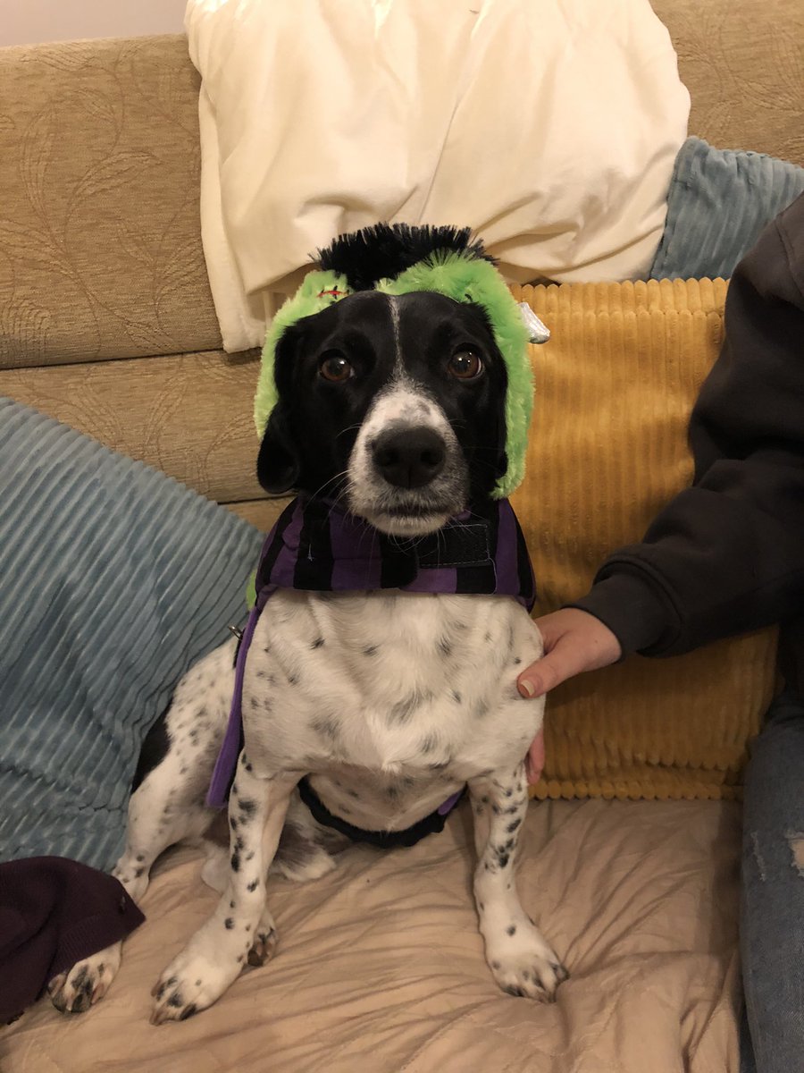 lottiedyer_'s tweet image. Happy Halloween :) #LPCostumeComp #LPMakeUpComp