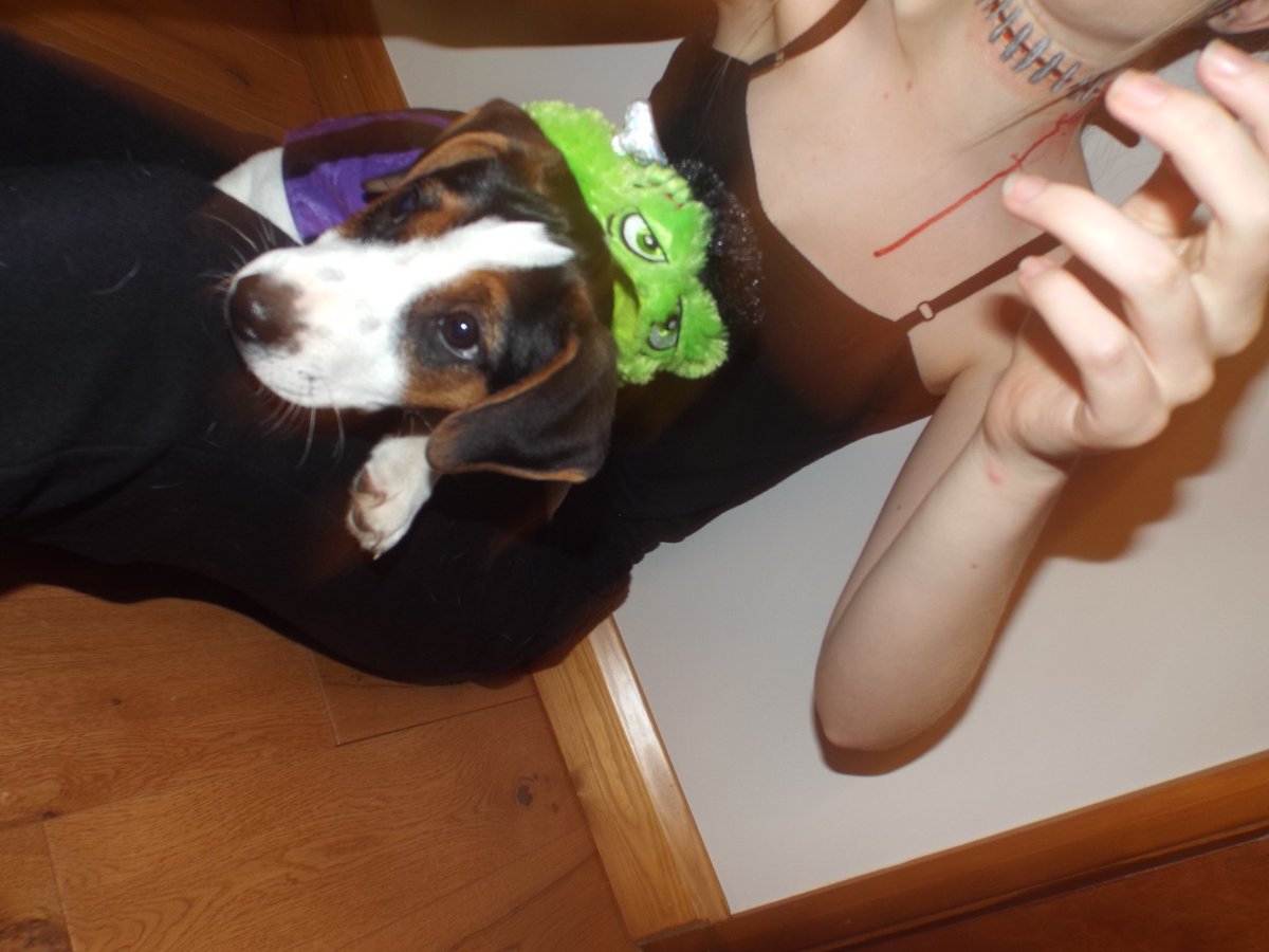 lottiedyer_'s tweet image. Happy Halloween :) #LPCostumeComp #LPMakeUpComp