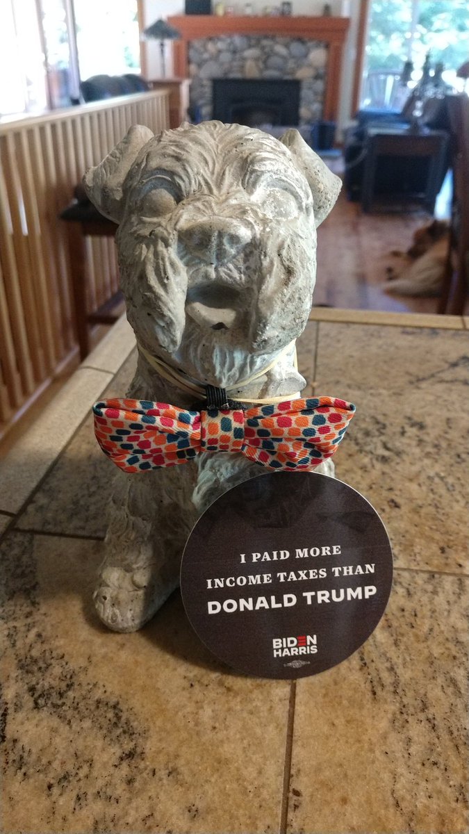 Rocky the schnauzer is voting Biden Harris. The responsible choice.
