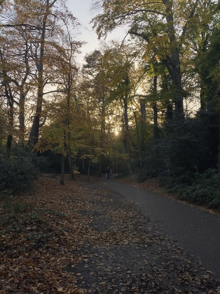 gmacgr's tweet photo. As #parktoberfest wraps up and with #myrunningaccomplice away to protect her from the 🧨💥 I got to include @BushyDUBparkrun in my #notparkrun today. Beautiful as the sun began to dip. Should have been RD @Tymonparkrun today 🙁🎃👻
#loveparkrun🌳 #missingparkrun https://t.co/jpaXUc7pD2