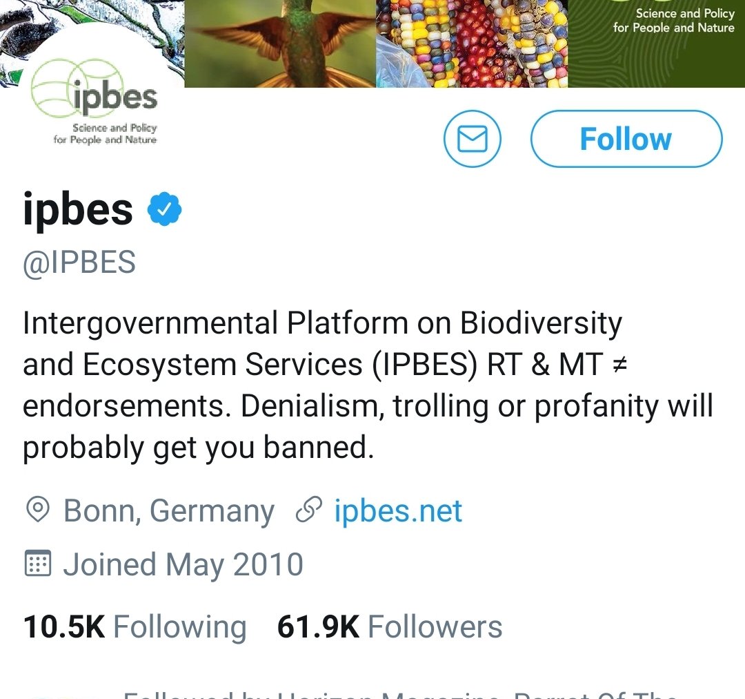  @ipbes