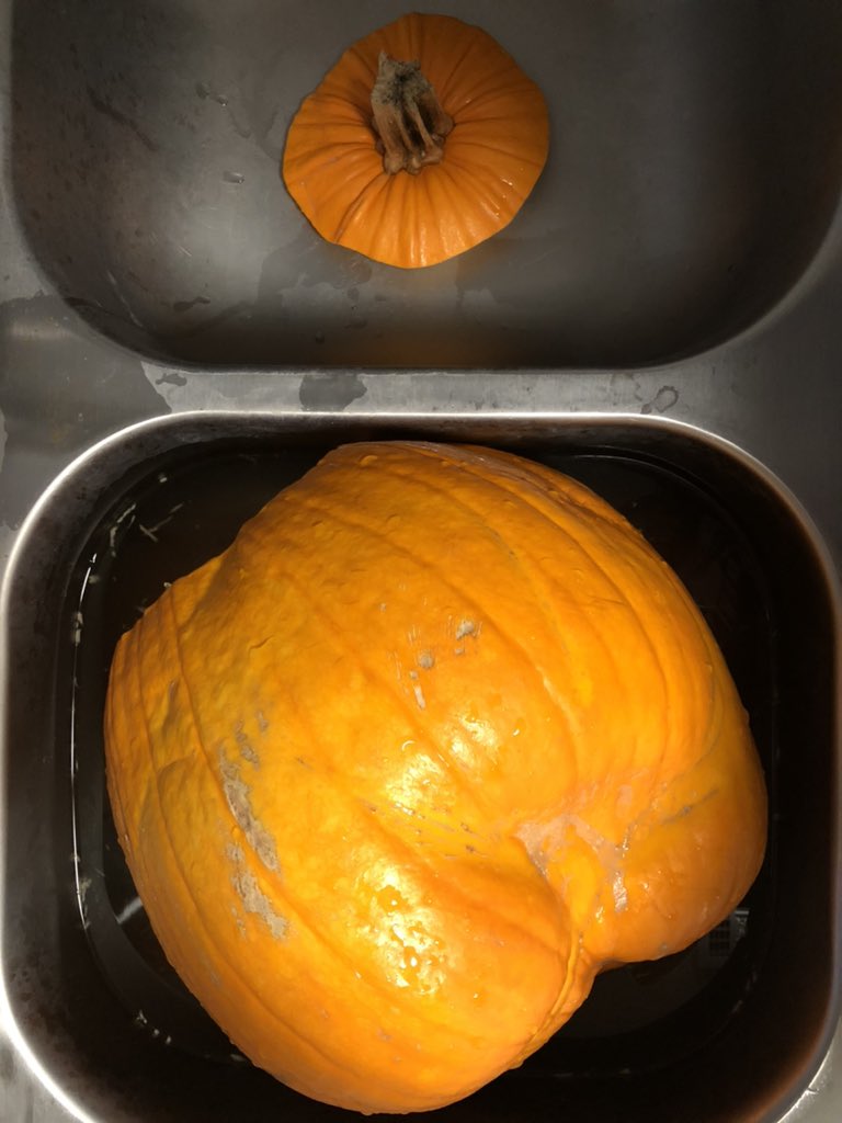 POTUSHAMILL's tweet photo. The Great Pumpkin Reveal ~ 
#HamillHalloween2020 #Hamillween https://t.co/6vm8GAYjEW