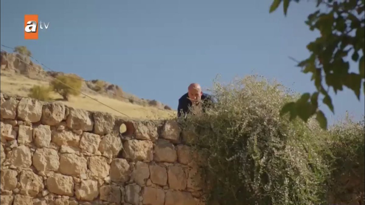 SO BALDIE WORKS FOR AZIZE???  #Hercai