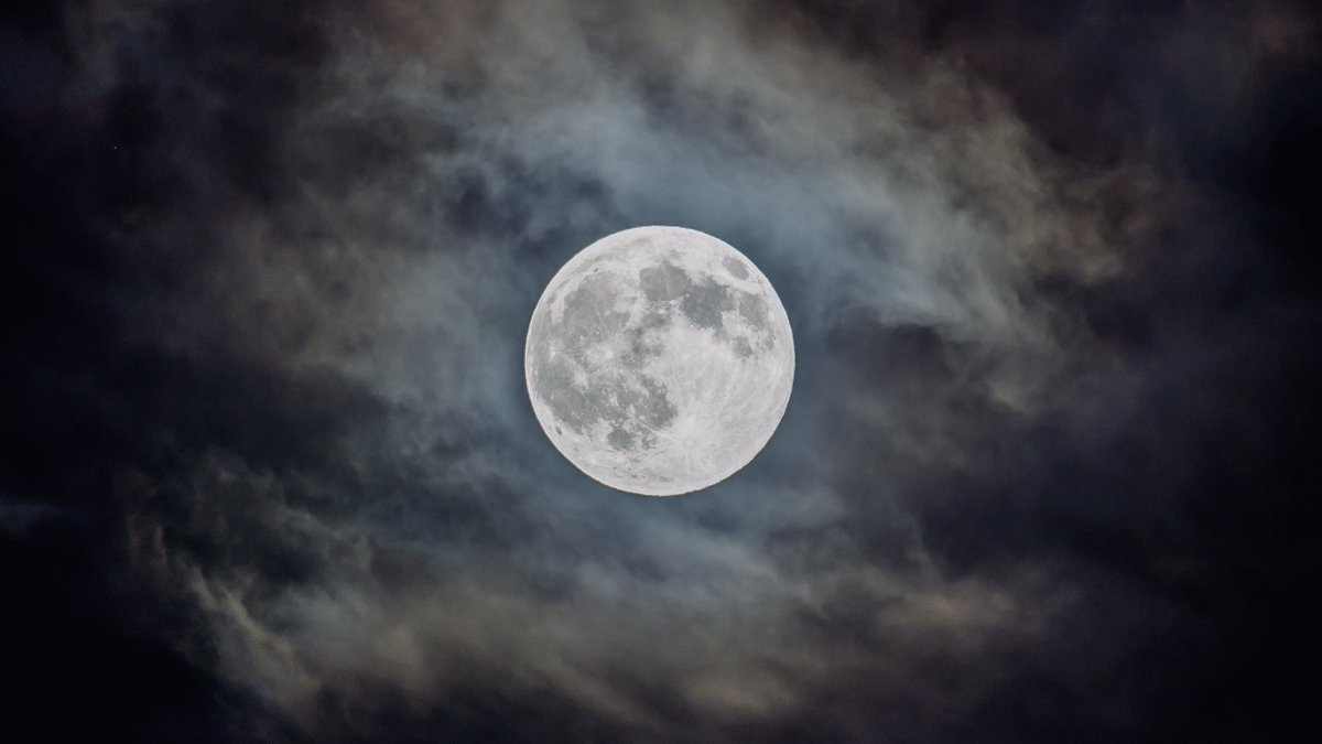 ginnyweasleyth's tweet photo. '𝐈𝐭'𝐬 𝐟𝐮𝐥𝐥 𝐦𝐨𝐨𝐧 𝐭𝐨𝐧𝐢𝐠𝐡𝐭.'

A long howl echoed through the Forbidden Forest. Maybe there was a werewolf nearby but you didn't care. It couldn't even harm you anyway.

You heard footsteps from behind. Turning around, you saw a young girl in a blue striped pajama. https://t.co/0bSRzh52pi