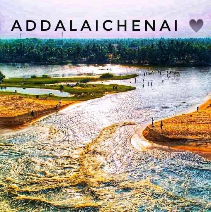 itz_roshanz's tweet image. எங்க ஊரு, #சேனையூரின் பேரழகு 😍𝟯𝟭.𝟭𝟬.𝟮𝟬𝟮𝟬 #nature #Srilanka #Addalalaichenai #Easten