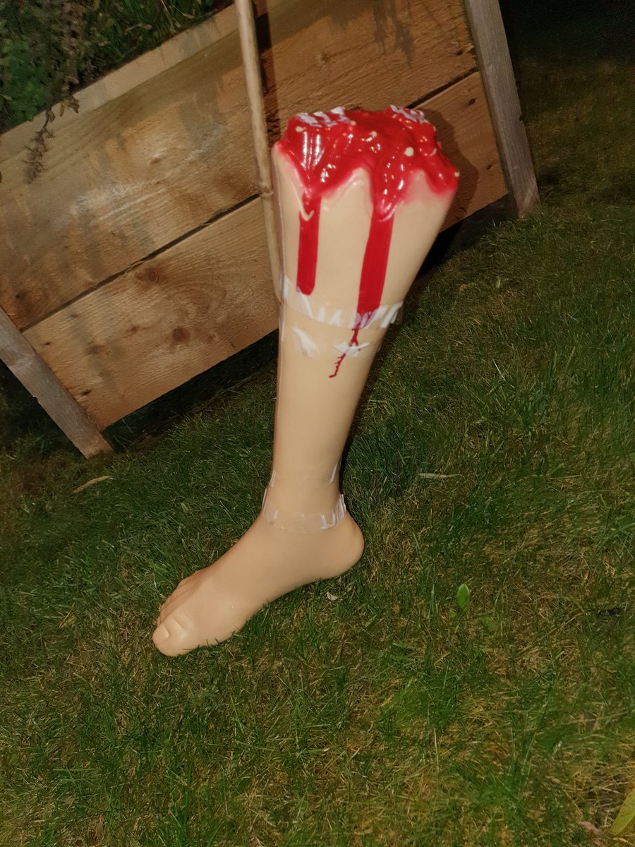 Doubt we will get any #TrickorTreats tonight but it's cheered us up! #HappyHalloween2020 #HalloweenAtHome