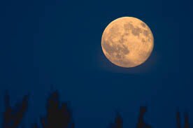 gothiccuriosity's tweet photo. Samhain blessings. Hunter’s moon 🌕 https://t.co/FmSF8ELpSc
