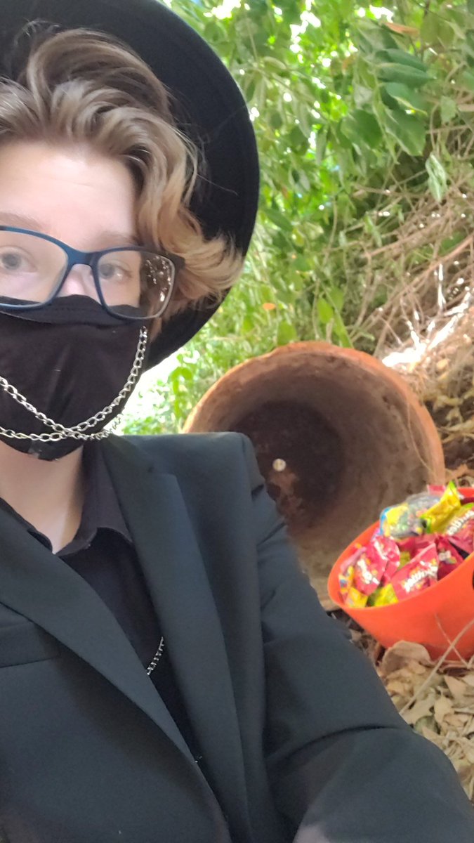 GjTurtle tweet picture