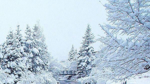 n̸ovember wish . 🏔️