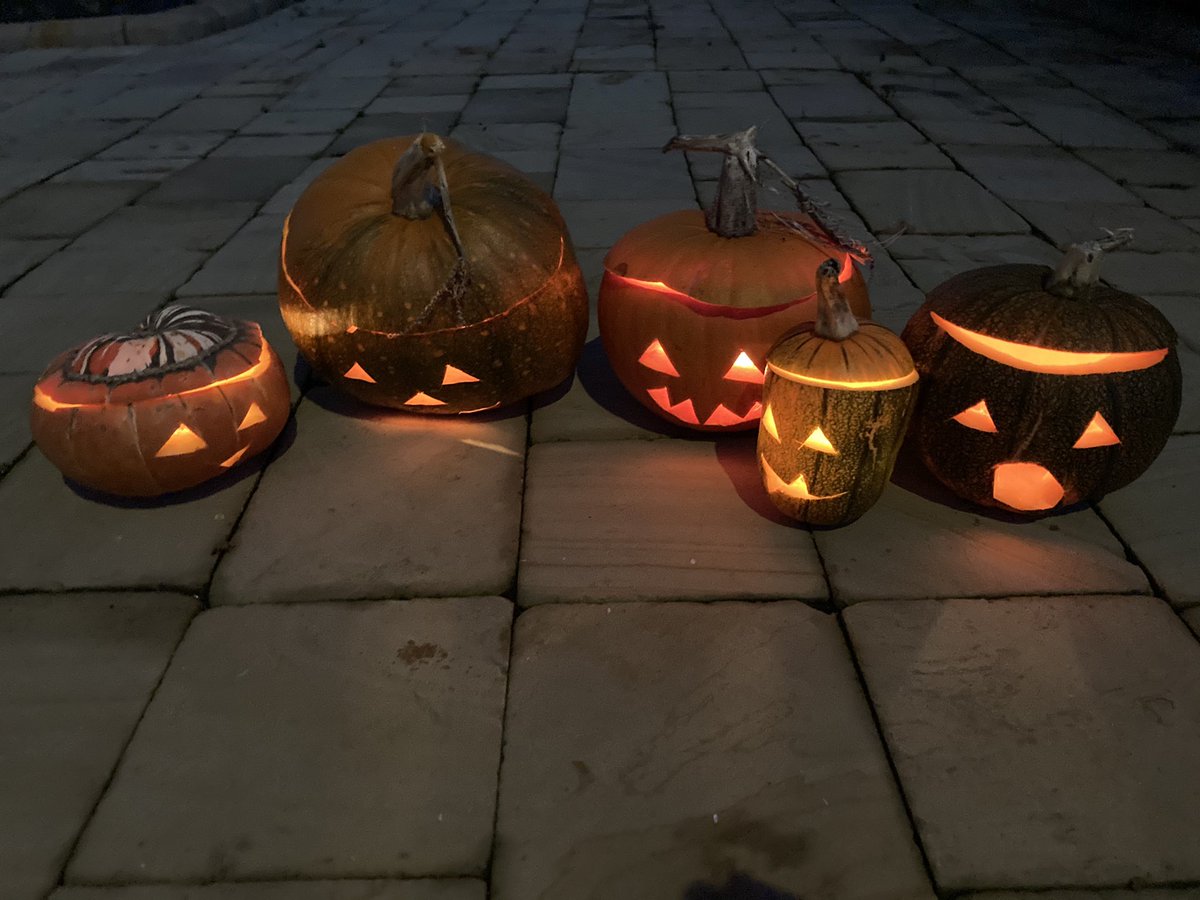 seibbotson's tweet photo. I planted these pumpkins on the first day of lockdown in March and today they’ve been carved on the Eve of lockdown Mark 2 and their smiles are mocking at best.

#RNAdarkside #HappyHalloween #HalloweenAtHome https://t.co/Q7UOco4SXZ