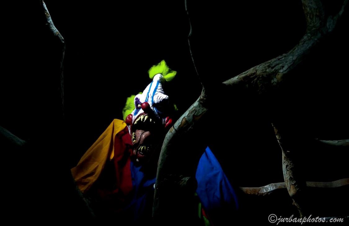 Have a frightful Halloween..