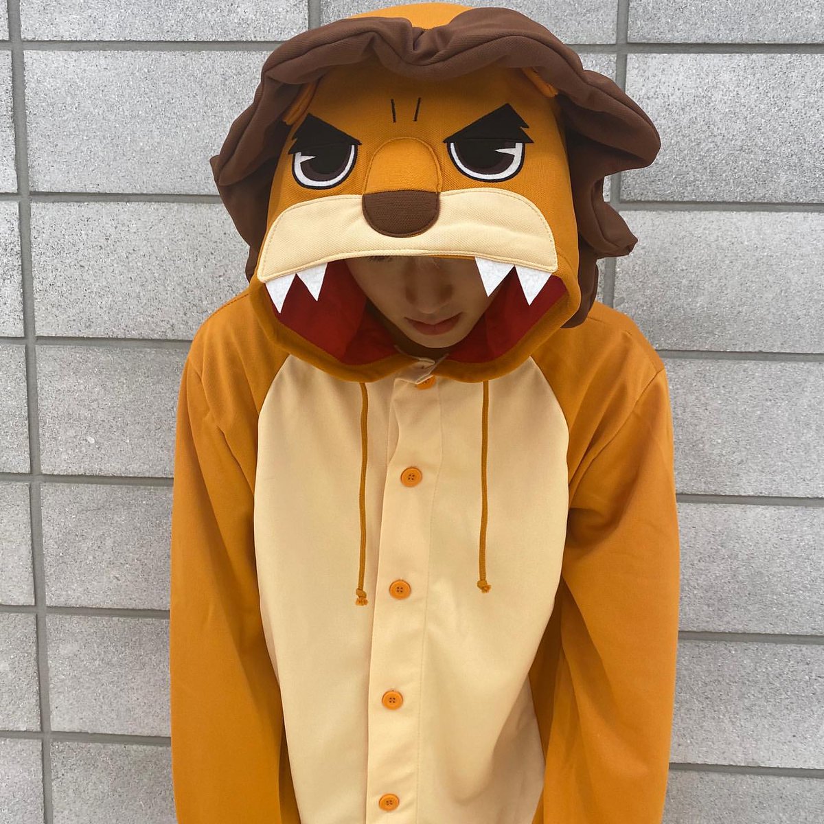 kai2923's tweet image. 10/31 🐥🐰 updated their SNS.

...🦁?🦁?...👀🤔😆
#panwink #판윙 #หลินฮุน