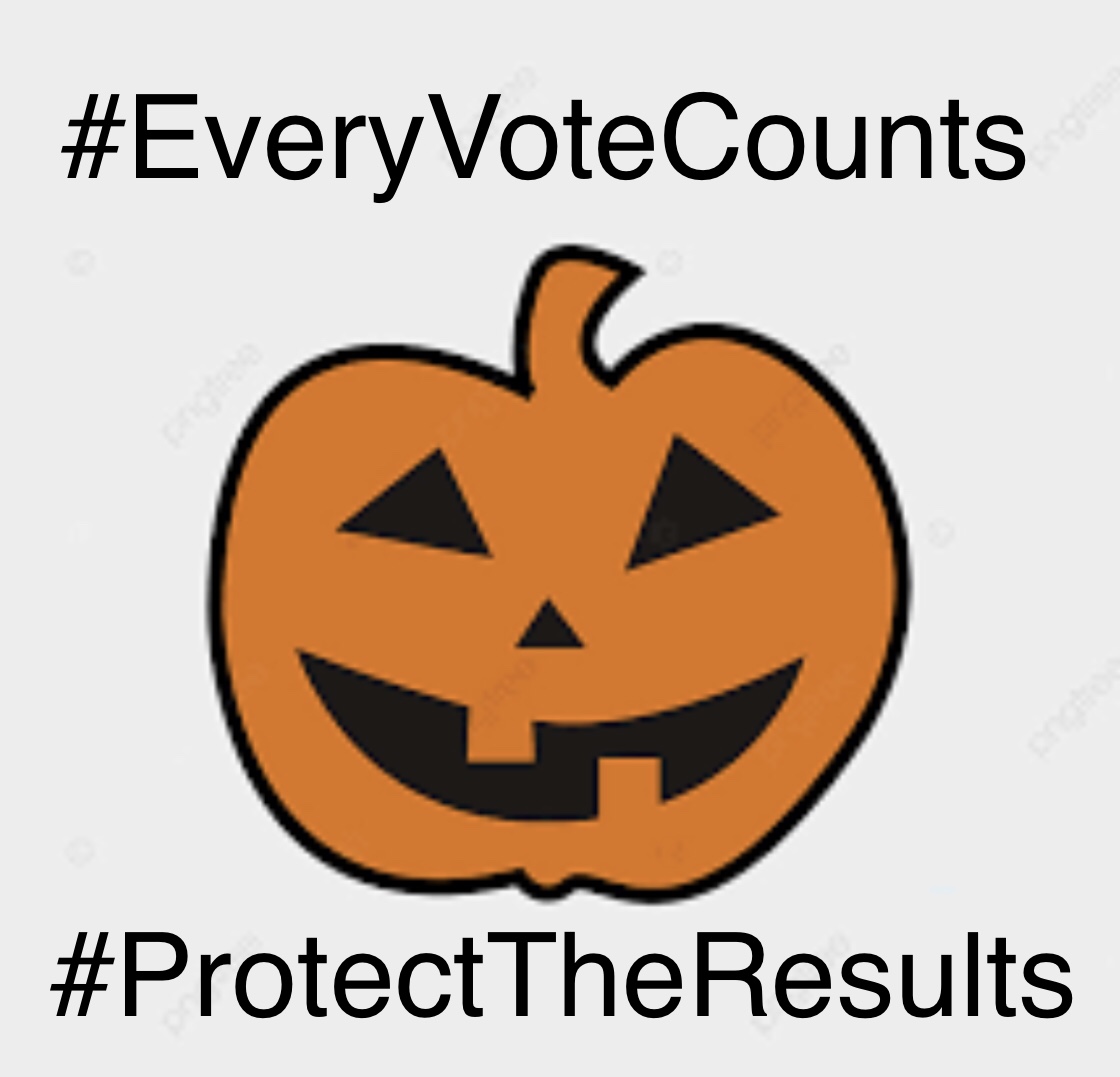 IndivisibleHoCo's tweet photo. We May Not Have Final Election Results on November 3rd... #CountEveryVote https://t.co/OvbYwALtYz https://t.co/1ZeNxooNEC