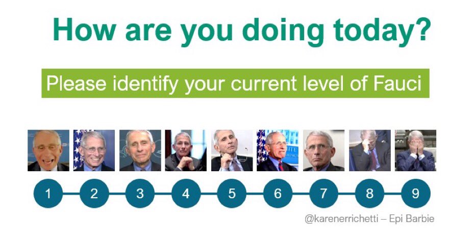 ElrPObJXIAADsGY?format=jpg&name=medium