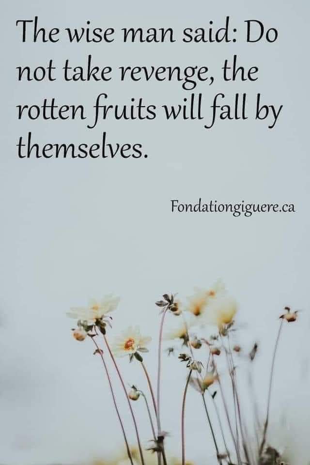 Springbokwalker's tweet image. 