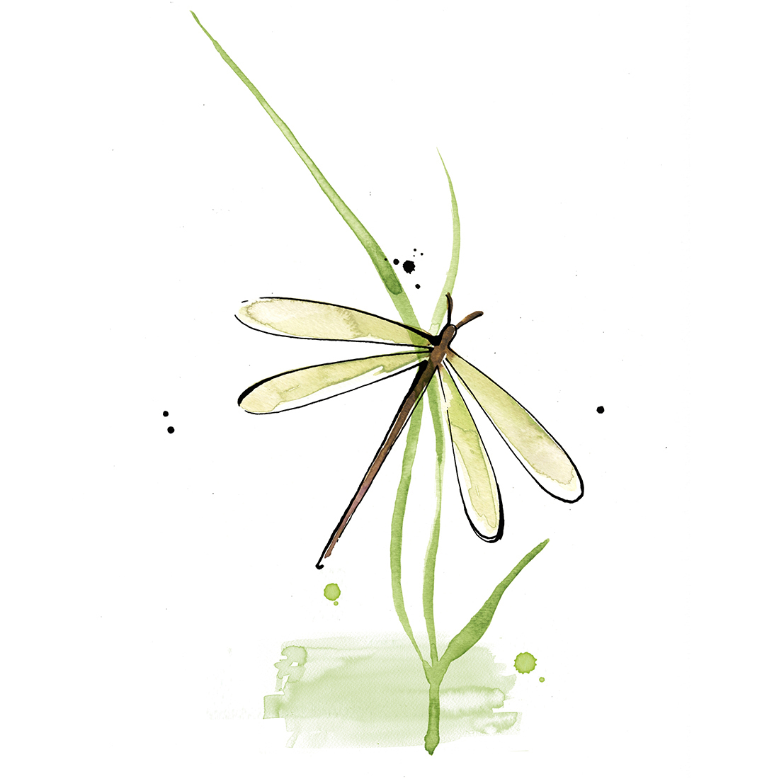 _illustrationX's tweet photo. Written by Bonnie Myotai Treace, A Year of Zen is illustrated delicately with Veronica Collignon's nature inspired artworks.
.
See more: https://t.co/IARFMZRYM1
.
#WEAREILLUSTRATIONX #animal #nature #books #publishing #health #veronicacollignon https://t.co/JRpQfC5caI
