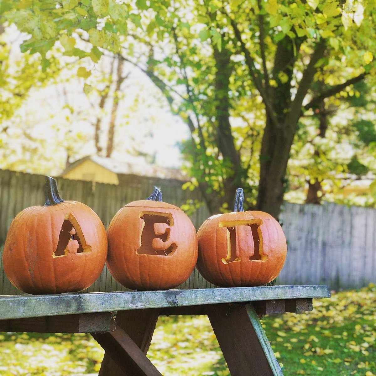 UNT ΑΕΠ tweet media