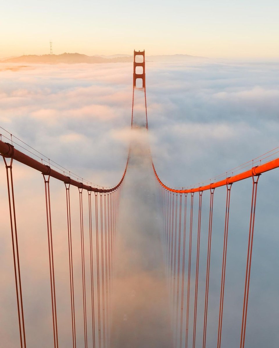 POV: you're a bridge looking towards San Francisco's best tower.

📸 <a href="/sek/">↓FLUX</a>.ops

#sutrotower #sanfrancisco #bayarea #sf #sanfranciscostreets #onlyinsf #howsfseessf #sanfrancitizens #goldengatebridge #ggb #thatsfbridge #mysf #sfsutrotower #clouds #cloudporn #fog #foggy #karlthefog