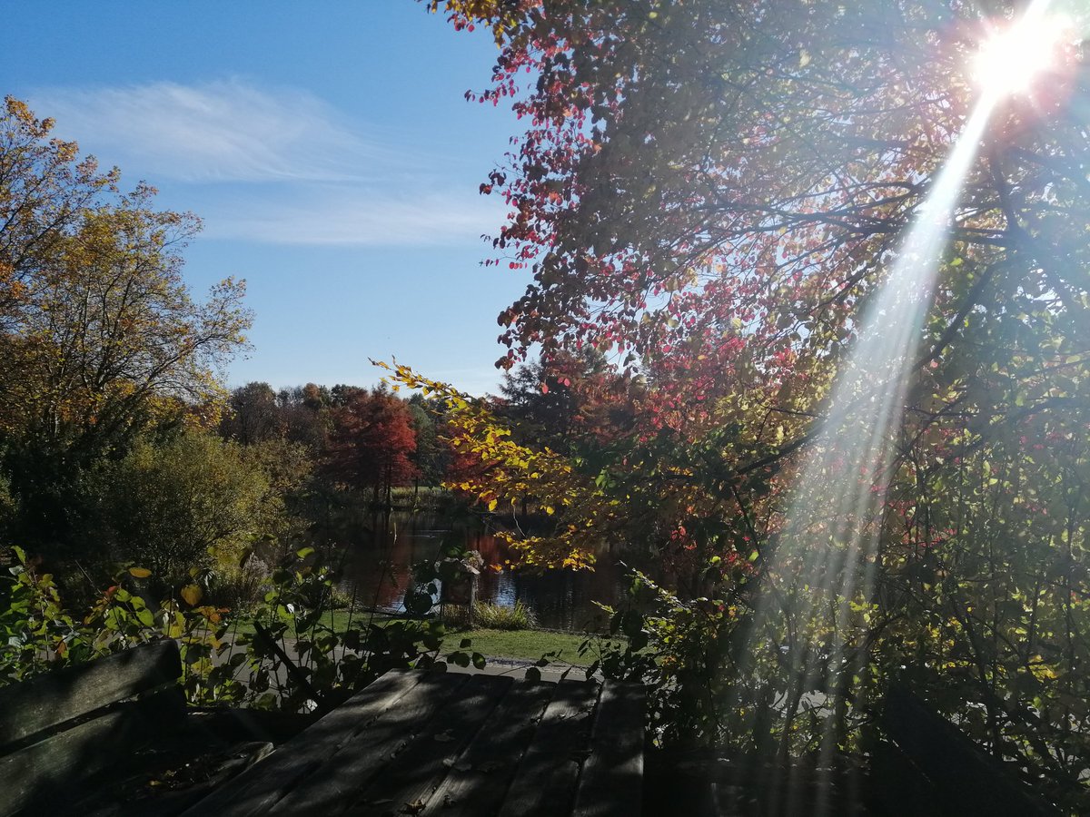 #Herbst in der Stadt. #Westpark