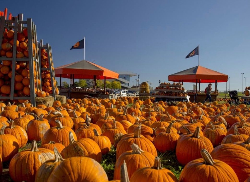 SeversFallFest's tweet photo. Happy Halloween! Sever's Fall Festival and Artisan Market is wrapping up this weekend so make sure to get your tickets and come on by. Find syrup, Sever’s own honey and Minnesota themed gift items, candies, jewelry and more! #ShopLocal #SeversArtisansMarket #MakersofMN https://t.co/POPzW28Fqr