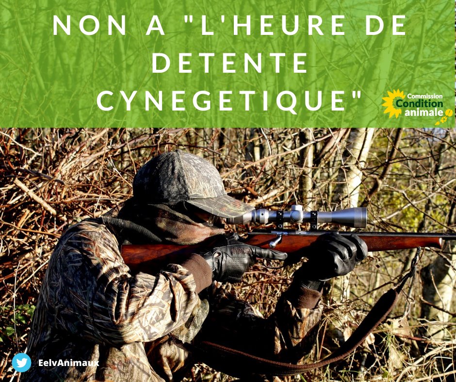 EelvAnimaux's tweet photo. ⛔ @WillySchraen invite les chasseurs à utiliser leur heure de sortie quotidienne pour aller chasser ! 🦊
❌ Cette invitation est irresponsable pour la sécurité des riverain-es
🤨 La chasse est loin d'être une activité essentielle &amp; aucune dérogation n'est entendable ! https://t.co/mG2f5nTlcS
