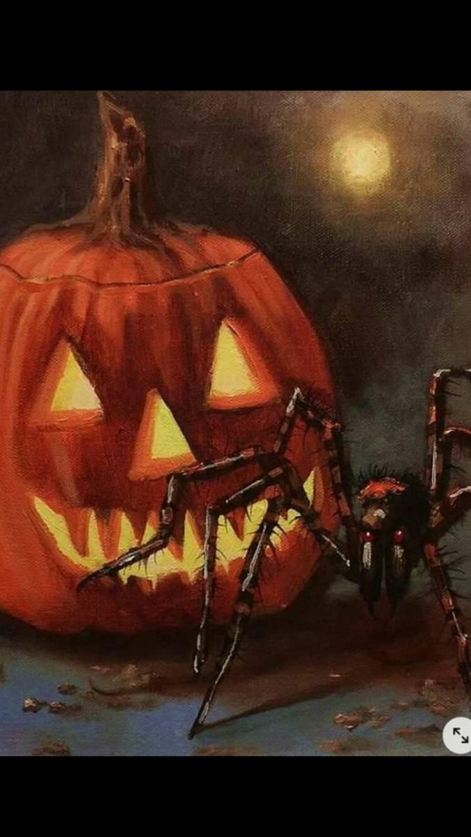 Connie Satterfield (@conniejojo2) on Twitter photo 