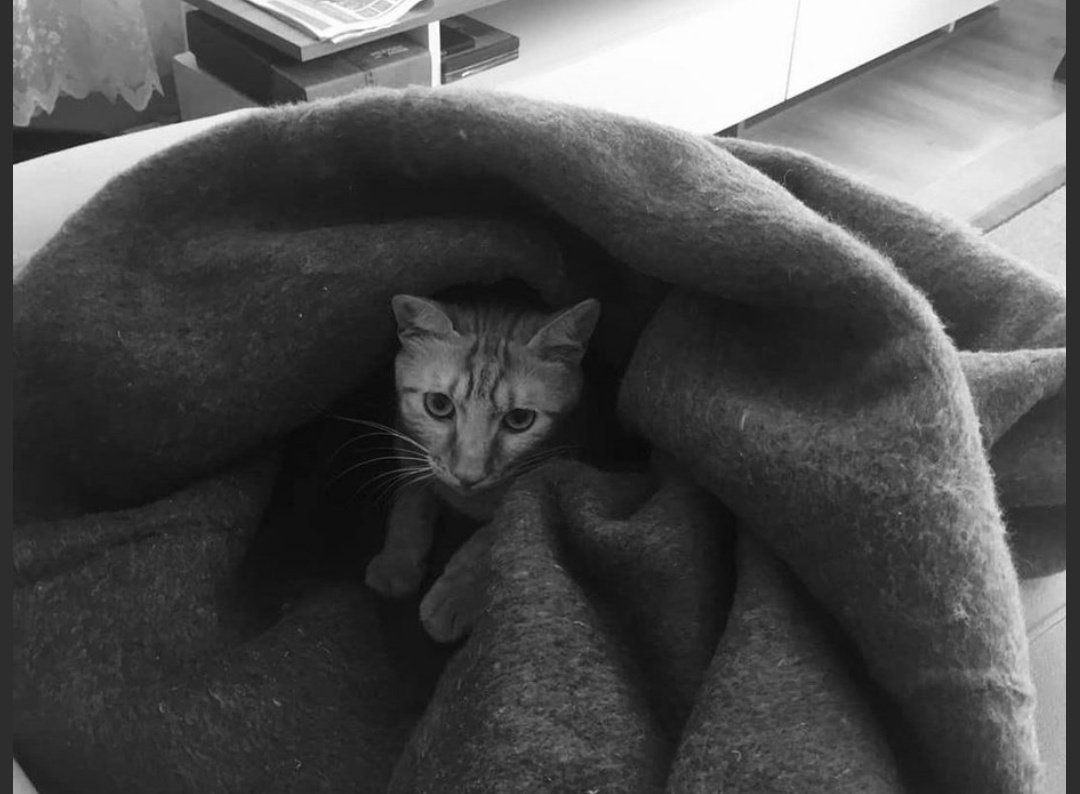 mylifedumping's tweet photo. Merhametlisin ya en güzel sensin... https://t.co/NUws5JrEN8