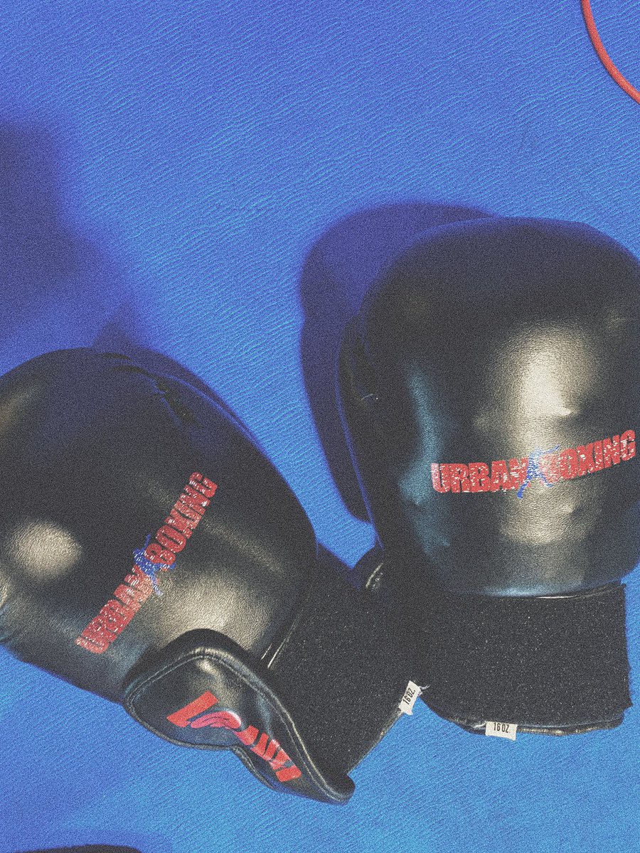 cdvn__'s tweet image. Good afternoon 🥊