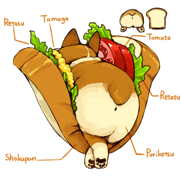 food no humans dog shiba inu food focus tongue out white background  illustration images